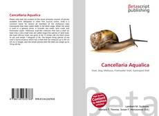 Portada del libro de Cancellaria Aqualica