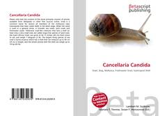 Portada del libro de Cancellaria Candida