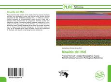 Portada del libro de Rinaldo del Mel