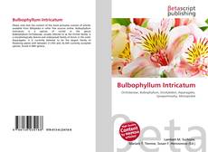 Обложка Bulbophyllum Intricatum