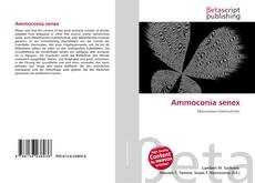 Portada del libro de Ammoconia senex