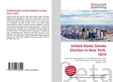 Обложка United States Senate Election in New York, 1879