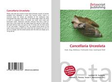 Buchcover von Cancellaria Urceolata