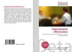 Organizational Effectiveness kitap kapağı