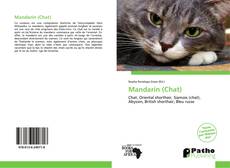 Capa do livro de Mandarin (Chat) 