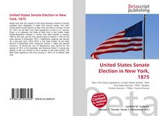 Copertina di United States Senate Election in New York, 1875