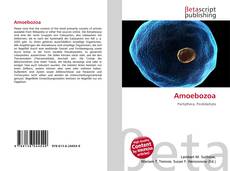 Copertina di Amoebozoa