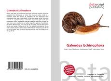 Buchcover von Galeodea Echinophora