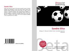 Bookcover of Sandro Silva