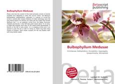 Обложка Bulbophyllum Medusae