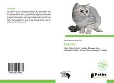 Bookcover of Sokoké