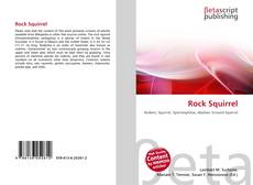 Capa do livro de Rock Squirrel 