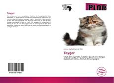 Bookcover of Toyger