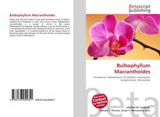 Обложка Bulbophyllum Macranthoides