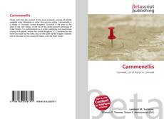 Обложка Carnmenellis
