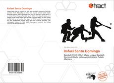 Portada del libro de Rafael Santo Domingo