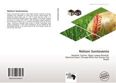 Buchcover von Nelson Santovenia