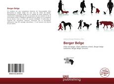 Berger Belge kitap kapağı