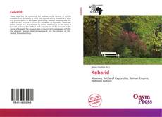 Bookcover of Kobarid