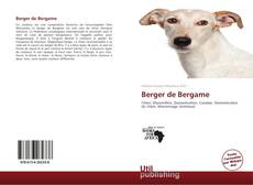 Portada del libro de Berger de Bergame