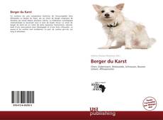 Copertina di Berger du Karst