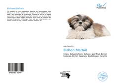 Bookcover of Bichon Maltais