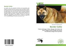 Portada del libro de Border Collie