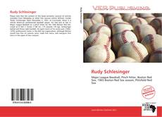 Rudy Schlesinger kitap kapağı