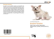 Portada del libro de Brachet Tyrolien