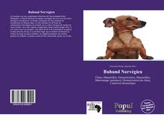 Обложка Buhund Norvégien