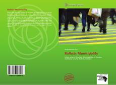 Bookcover of Bollnäs Municipality