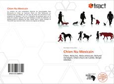 Bookcover of Chien Nu Mexicain