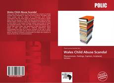 Portada del libro de Wales Child Abuse Scandal