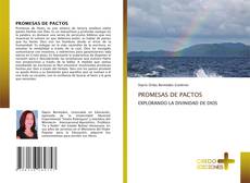 Bookcover of PROMESAS DE PACTOS