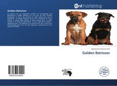 Golden Retriever kitap kapağı