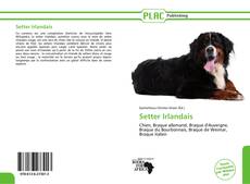 Capa do livro de Setter Irlandais 