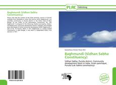 Buchcover von Baghmundi (Vidhan Sabha Constituency)