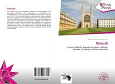 Bookcover of Rimush