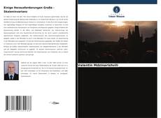 Copertina di Einige Herausforderungen Große - Skaleninvarianz