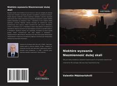 Bookcover of Niektóre wyzwania Niezmienność dużej skali