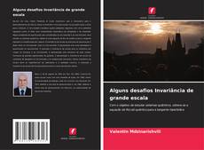 Copertina di Alguns desafios Invariância de grande escala