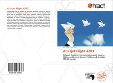 Portada del libro de Atlasjet Flight 4203