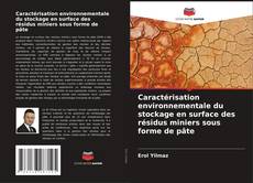 Buchcover von Caractérisation environnementale du stockage en surface des résidus miniers sous forme de pâte