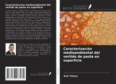 Capa do livro de Caracterización medioambiental del vertido de pasta en superficie 