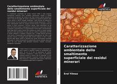 Caratterizzazione ambientale dello smaltimento superficiale dei residui minerari的封面