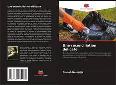Buchcover von Une réconciliation délicate