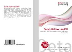 Sandy Hollow Landfill的封面