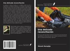 Una delicada reconciliación的封面