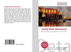 Buchcover von Sandy Hook (Newtown)