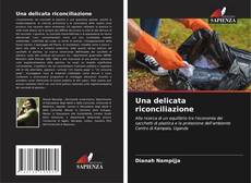 Borítókép a  Una delicata riconciliazione - hoz